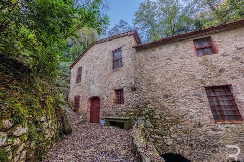 Farm hus i Camaiore, Lucca, Camaiore - € 395.000 | Ref: R0550008CARU-1335074 - foto 2