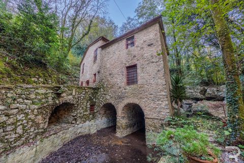 Farm hus i Camaiore, Lucca, Camaiore - € 395.000 | Ref: R0550008CARU-1335074 - foto 3