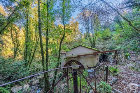 Farm hus i Camaiore, Lucca, Camaiore - € 395.000 | Ref: R0550008CARU-1335074 - foto 5
