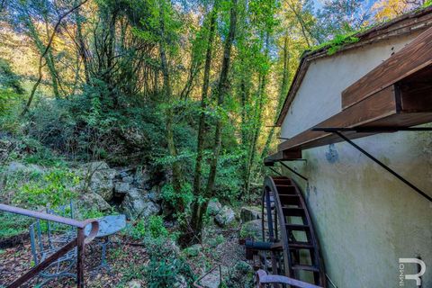 Farm hus i Camaiore, Lucca, Camaiore - € 395.000 | Ref: R0550008CARU-1335074 - foto 6