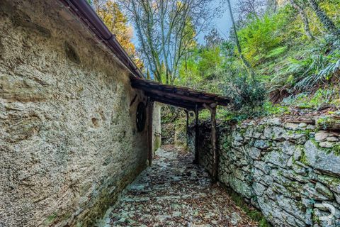 Farm hus i Camaiore, Lucca, Camaiore - € 395.000 | Ref: R0550008CARU-1335074 - foto 7