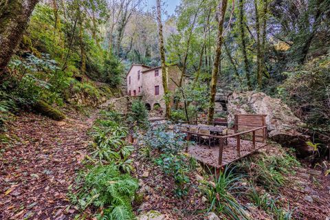 Farm hus i Camaiore, Lucca, Camaiore - € 395.000 | Ref: R0550008CARU-1335074 - foto 11