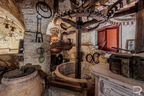 Farm hus i Camaiore, Lucca, Camaiore - € 395.000 | Ref: R0550008CARU-1335074 - foto 32