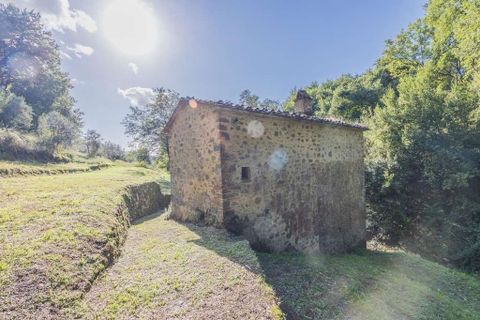 Farm hus i Lamporecchio, Pistoia, Lamporecchio - € 210.000 | Ref: R054889LARU-1335642 - foto 10