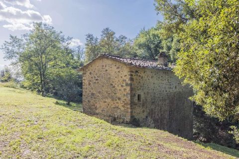 Farm hus i Lamporecchio, Pistoia, Lamporecchio - € 210.000 | Ref: R054889LARU-1335642 - foto 11