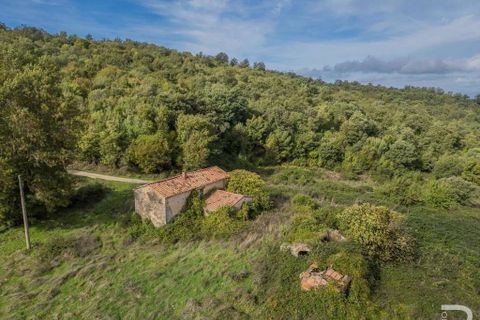 Farm hus i Scansano, Grosseto, Scansano - € 300.000 | Ref: R054897SCRU-1335699 - foto 1