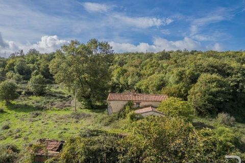 Farm hus i Scansano, Grosseto, Scansano - € 300.000 | Ref: R054897SCRU-1335699 - foto 2