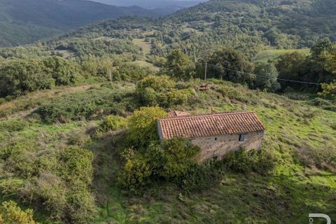 Farm hus i Scansano, Grosseto, Scansano - € 300.000 | Ref: R054897SCRU-1335699 - foto 3