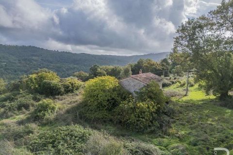 Farm hus i Scansano, Grosseto, Scansano - € 300.000 | Ref: R054897SCRU-1335699 - foto 9