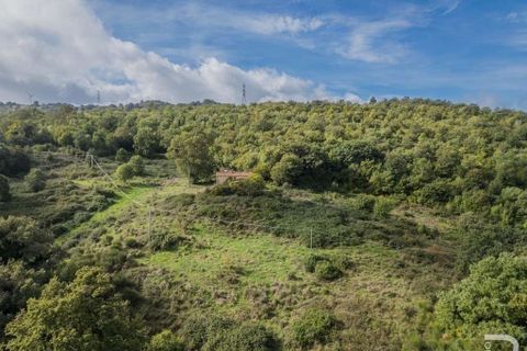 Farm hus i Scansano, Grosseto, Scansano - € 300.000 | Ref: R054897SCRU-1335699 - foto 11