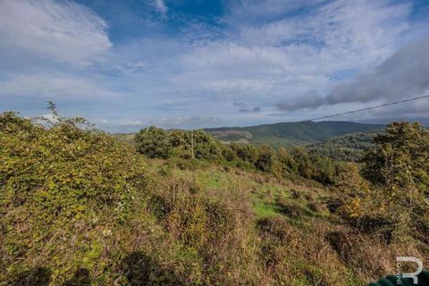Farm hus i Scansano, Grosseto, Scansano - € 300.000 | Ref: R054897SCRU-1335699 - foto 13