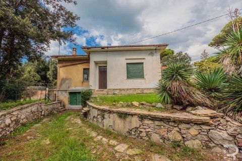 Villa a Pisa, Pisa, Pisa - € 540.000 | Ref: R054845PIVI-1335893 - foto 3