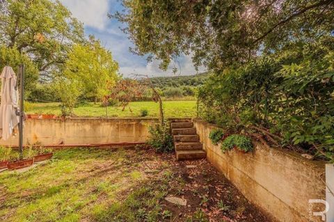Villa a Scarlino, Grosseto, Scarlino - € 460.000 | Ref: R054834SCVI-1335989 - foto 12