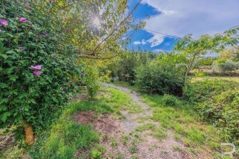 Villa a Scarlino, Grosseto, Scarlino - € 460.000 | Ref: R054834SCVI-1335989 - foto 16