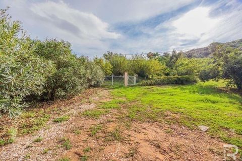 Villa a Scarlino, Grosseto, Scarlino - € 460.000 | Ref: R054834SCVI-1335989 - foto 18