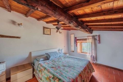 Farm hus i Dicomano, Florence, Dicomano - € 530.000 | Ref: R054759DIRU-1336738 - foto 44