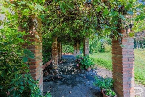 Farm hus i Vicchio, Florence, Vicchio - € 850.000 | Ref: R054728VIRU-1336969 - foto 20