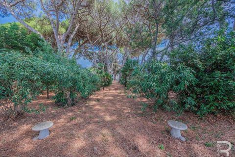 Villa a Cecina, Livorno, Cecina - € 750.000 | Ref: R054699CEVI-1337038 - foto 19