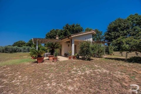 Villa i Manciano, Grosseto, Manciano - € 580.000 | Ref: R054691VIMA-1337089 - foto 6