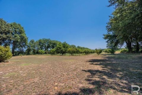 Villa i Manciano, Grosseto, Manciano - € 580.000 | Ref: R054691VIMA-1337089 - foto 13