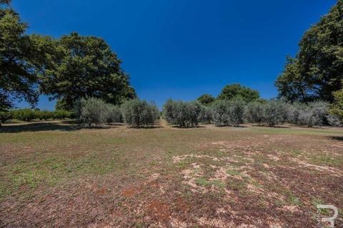 Villa i Manciano, Grosseto, Manciano - € 580.000 | Ref: R054691VIMA-1337089 - foto 14