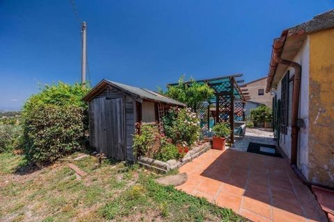 Villa i Scansano, Grosseto, Scansano - € 290.000 | Ref: R054678SEDH-1337174 - foto 3