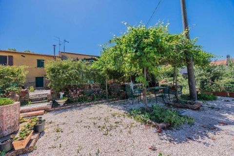 Villa i Scansano, Grosseto, Scansano - € 290.000 | Ref: R054678SEDH-1337174 - foto 13