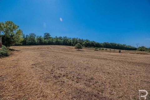 Farm hus i Certaldo, Florence, Certaldo - € 400.000 | Ref: R054683CERU-1337200 - foto 10