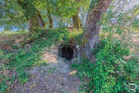 Farm hus i Certaldo, Florence, Certaldo - € 400.000 | Ref: R054683CERU-1337200 - foto 13