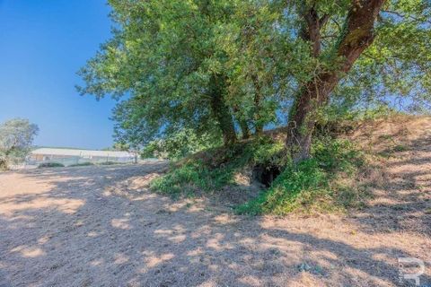 Farm hus i Certaldo, Florence, Certaldo - € 400.000 | Ref: R054683CERU-1337200 - foto 15