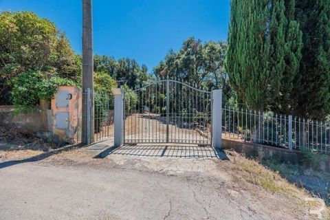 Villa a Follonica, Grosseto, Follonica - € 330.000 | Ref: R054682FIVI-1337225 - foto 13