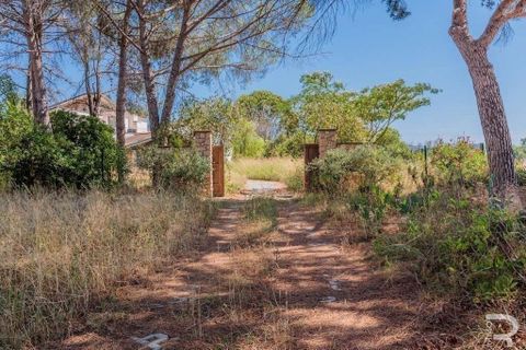Villa a Scarlino, Grosseto, Scarlino - € 700.000 | Ref: R05453SCVI-1337529 - foto 43