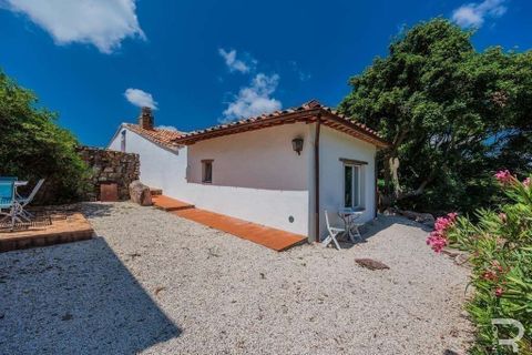 Villa i Arcidosso, Grosseto, Arcidosso - € 495.000 | Ref: R05442ARVI-1337736 - foto 7
