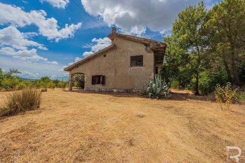 Villa a Manciano, Grosseto, Manciano - € 550.000 | Ref: R05433MAVI-1337857 - foto 3