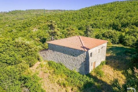 Farm hus i Lajatico, Pisa, Lajatico - € 190.000 | Ref: R05416LARU-1338056 - foto 4