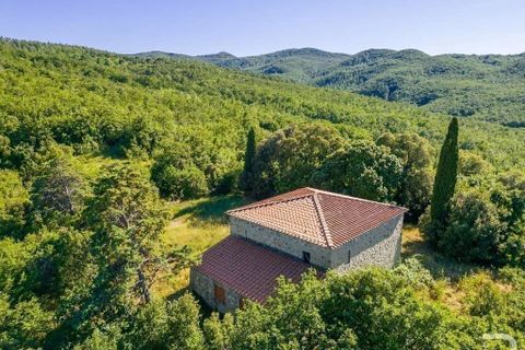 Farm hus i Lajatico, Pisa, Lajatico - € 190.000 | Ref: R05416LARU-1338056 - foto 5
