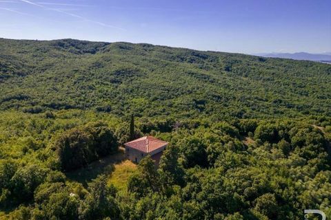Farm hus i Lajatico, Pisa, Lajatico - € 190.000 | Ref: R05416LARU-1338056 - foto 6