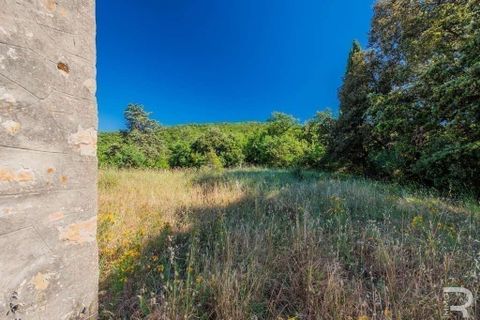 Farm hus i Lajatico, Pisa, Lajatico - € 190.000 | Ref: R05416LARU-1338056 - foto 7
