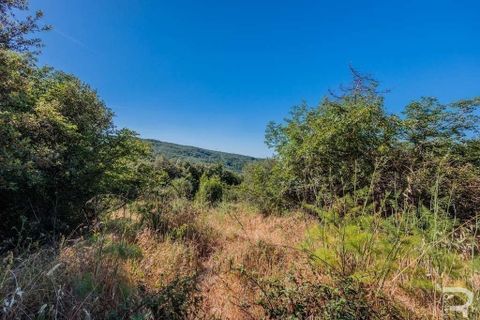 Farm hus i Lajatico, Pisa, Lajatico - € 190.000 | Ref: R05416LARU-1338056 - foto 8