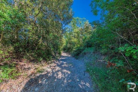Farm hus i Lajatico, Pisa, Lajatico - € 190.000 | Ref: R05416LARU-1338056 - foto 9