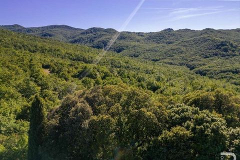 Farm hus i Lajatico, Pisa, Lajatico - € 190.000 | Ref: R05416LARU-1338056 - foto 10