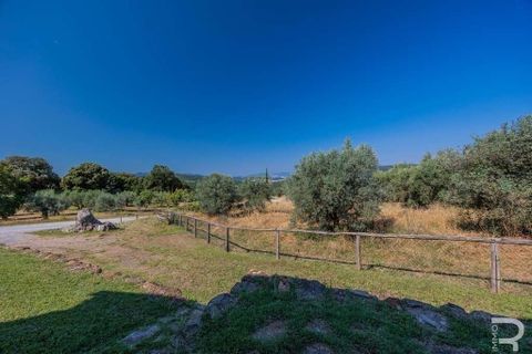 Farm hus i Gambassi Terme, Florence, Gambassi Terme - € 712.500 | Ref: R05392GARU-1338351 - foto 20