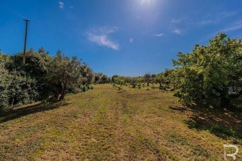 Villa i Pietrasanta, Lucca, Pietrasanta - € 900.000 | Ref: R05281VIPI-1338476 - foto 15