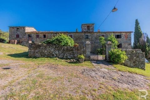 Landejendom i Talla, Arezzo, Talla - € 950.000 | Ref: R05356TARU-1338785 - foto 6