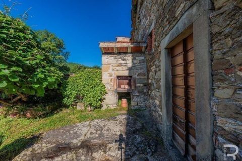 Landejendom i Talla, Arezzo, Talla - € 950.000 | Ref: R05356TARU-1338785 - foto 9