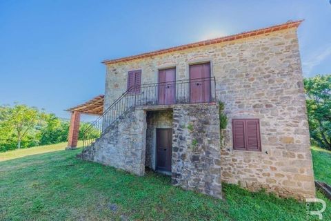 Landejendom i Talla, Arezzo, Talla - € 950.000 | Ref: R05356TARU-1338785 - foto 12