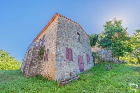 Landejendom i Talla, Arezzo, Talla - € 950.000 | Ref: R05356TARU-1338785 - foto 13