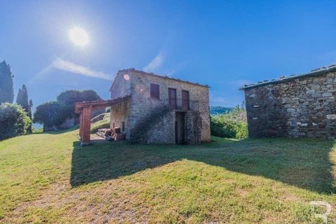 Landejendom i Talla, Arezzo, Talla - € 950.000 | Ref: R05356TARU-1338785 - foto 14