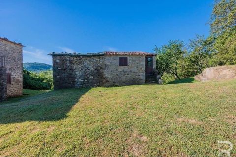 Landejendom i Talla, Arezzo, Talla - € 950.000 | Ref: R05356TARU-1338785 - foto 15