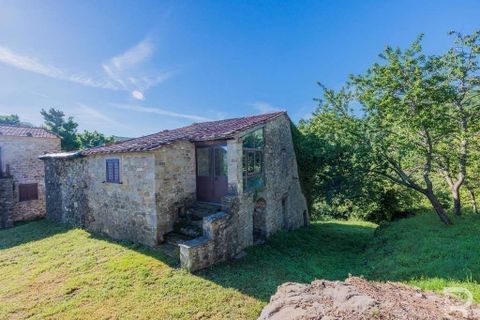 Landejendom i Talla, Arezzo, Talla - € 950.000 | Ref: R05356TARU-1338785 - foto 16